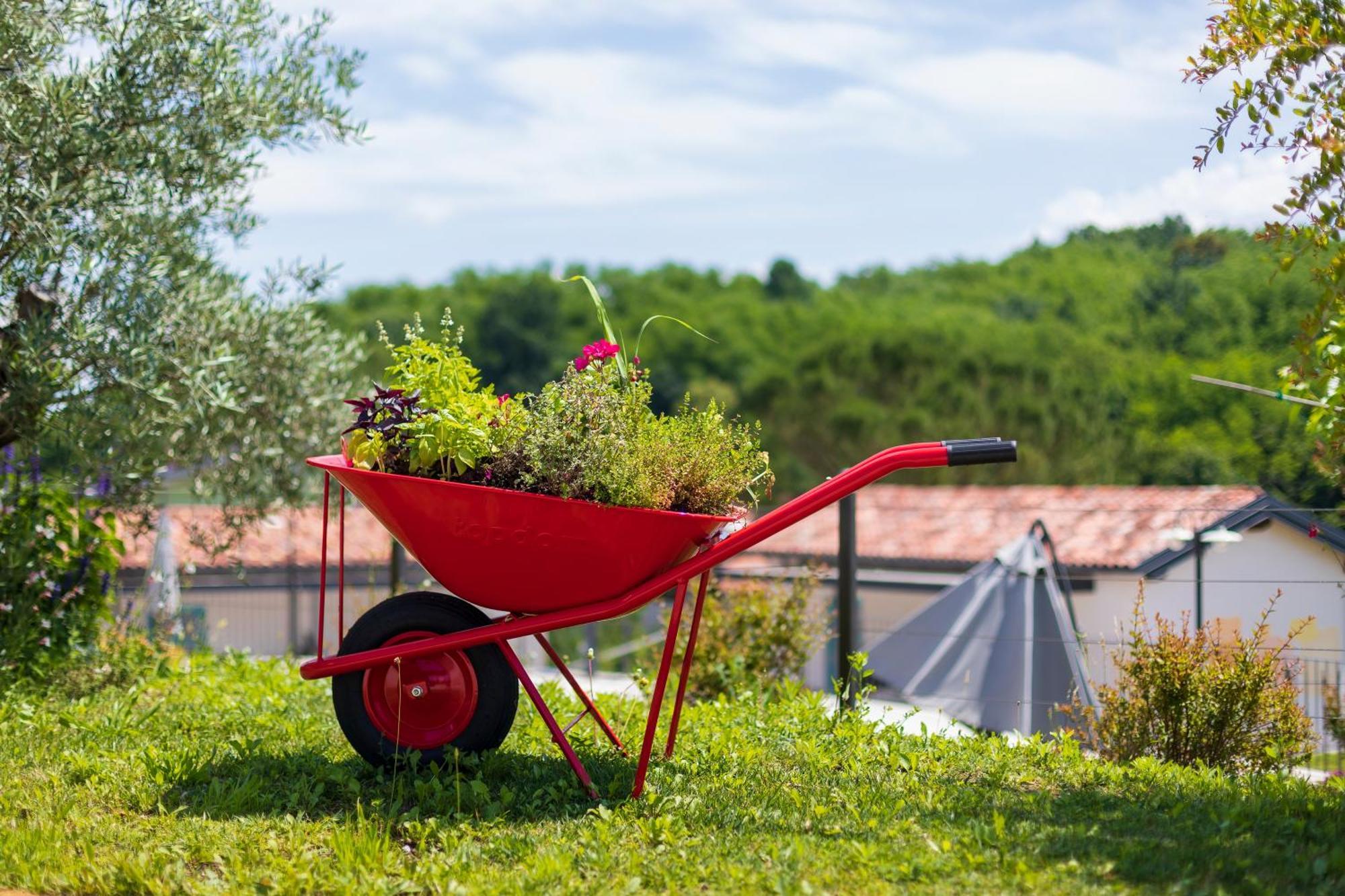 Kamp Brda Camping And Rooms Kojsko Extérieur photo